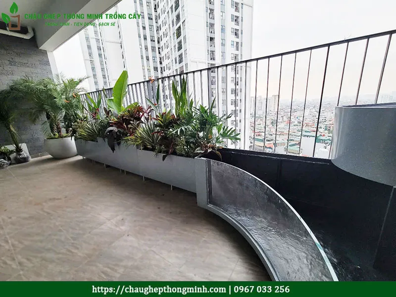 Chậu composite chữ nhật trồng cây ban công