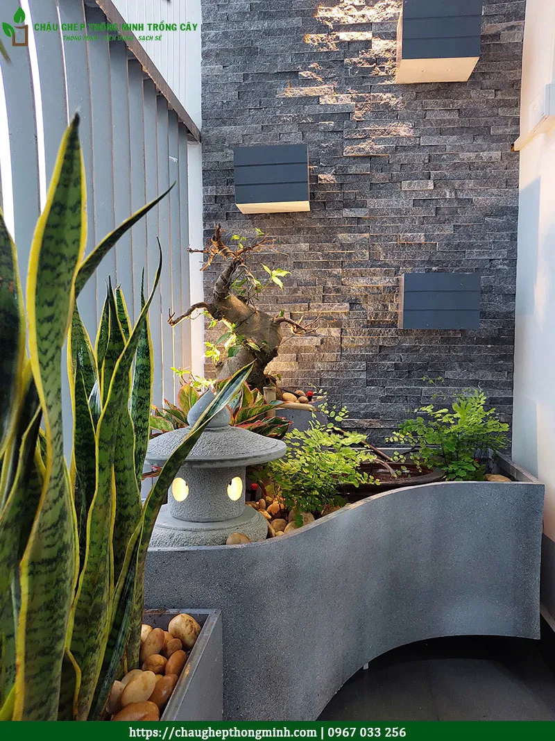 Chậu composite ban công