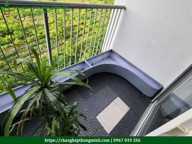 Chậu composite trồng cây