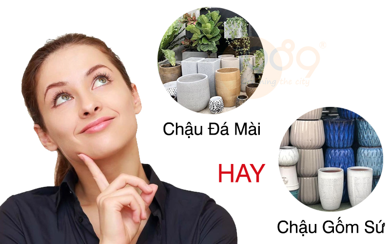 Chậu Gốm Trồng Cây Bát Tràng: Vẻ Đẹp Truyền Thống và Ứng Dụng Hiện Đại Cho Không Gian Xanh Của Bạn