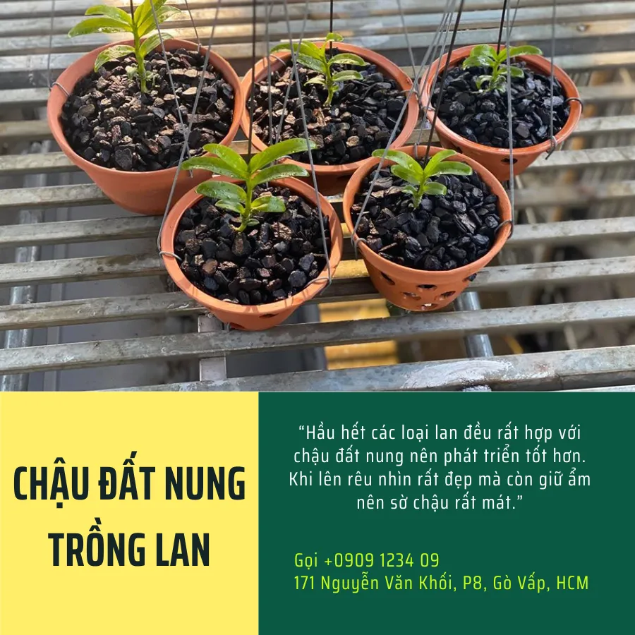 Chậu đất nung trồng lan chuyên dụng thoát nước tốt