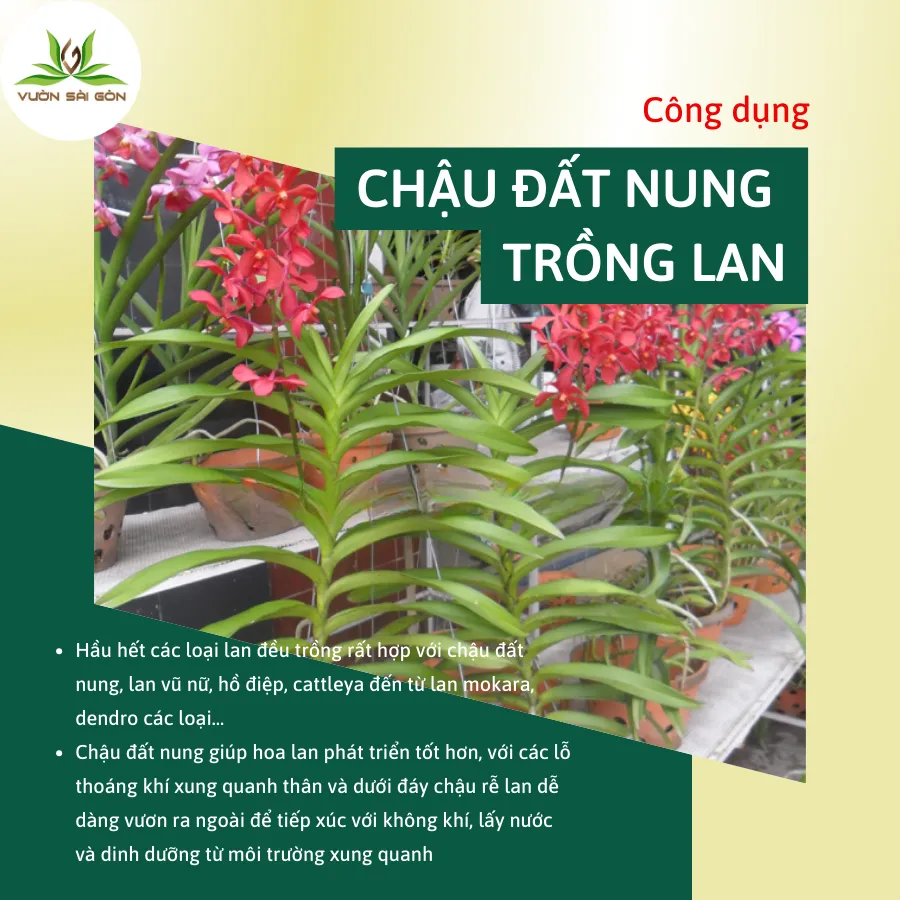 Hệ thống lỗ thoáng khí đặc trưng của chậu đất nung trồng phong lan