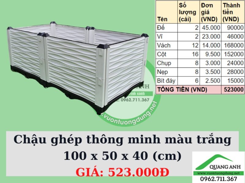Chậu Đất Trồng Cây Giá Rẻ: Lựa Chọn Thông Minh Cho Vườn Xanh Của Bạn