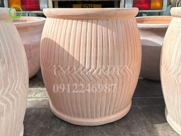 Chậu gốm trồng thiết mộc lan