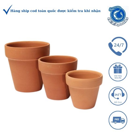 Chậu Trồng Cây Bằng Gỗ: Giải Pháp Trang Trí Xanh Tự Nhiên Cho Không Gian Sống