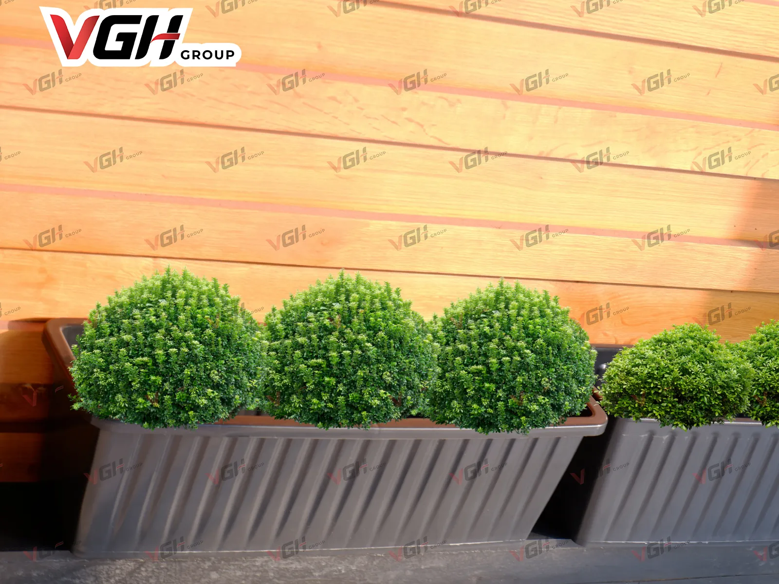 Chậu không bị giòn xốp khi trồng cây bên ngoài trời nắng gắt trong thời gian dài