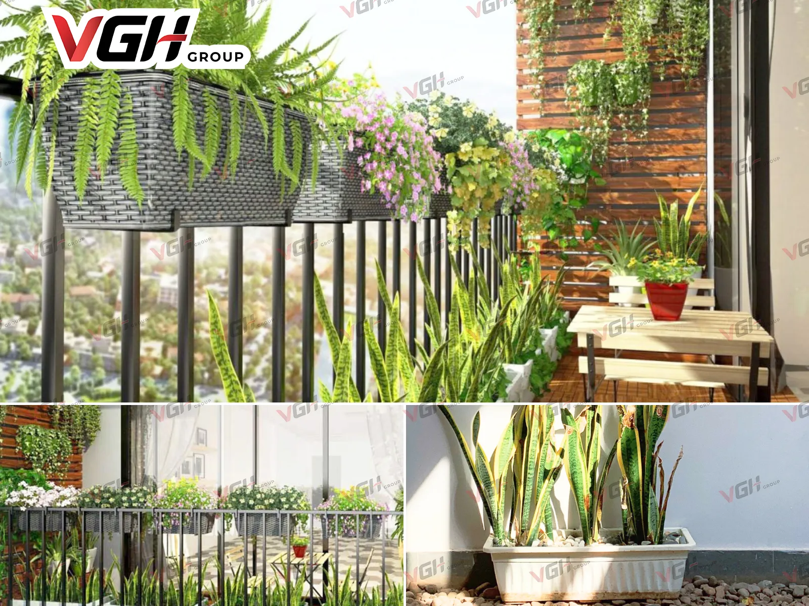 Chậu nhựa được sử dụng trồng cây và trang trí cho nhiều không gian nội ngoại thất