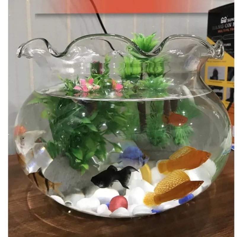 Chậu Trồng Cây Thủy Tinh: Lựa Chọn Tinh Tế Cho Không Gian Xanh