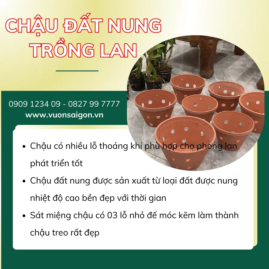Mẫu chậu lan đất nung kích thước trung bình cho lan Dendro