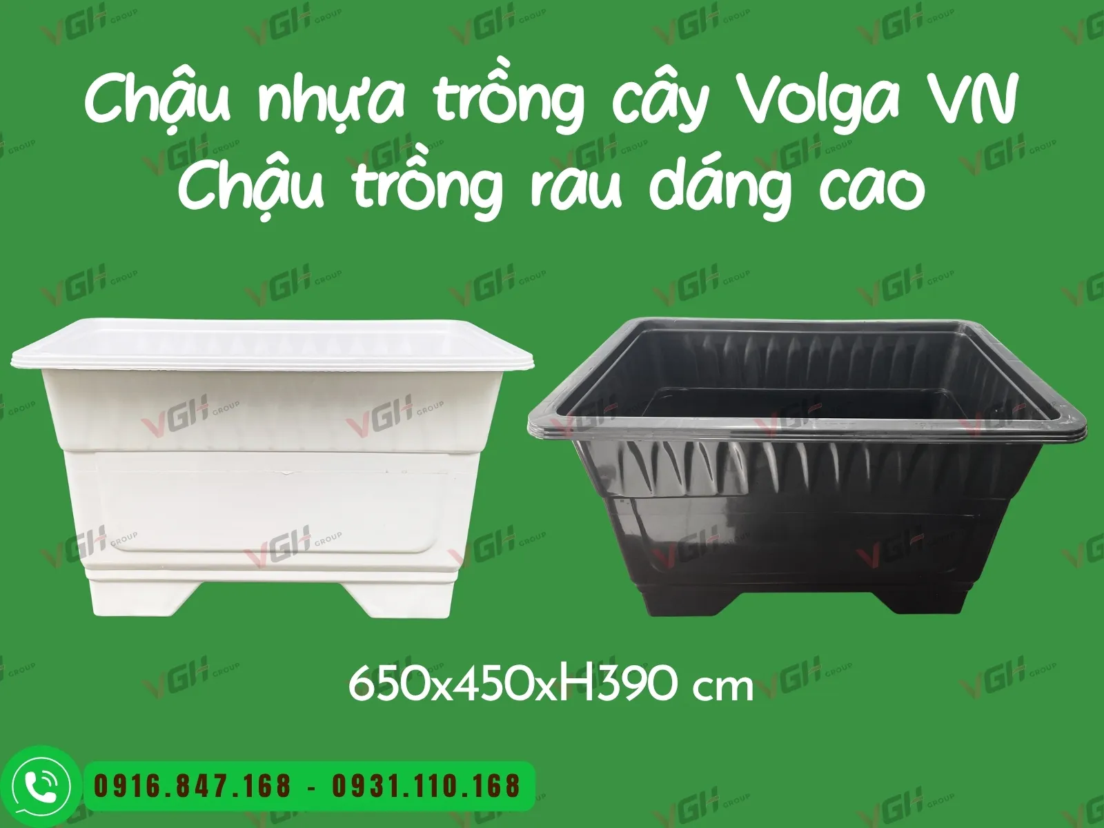 chau-nhua-trong-rau-dang-cao