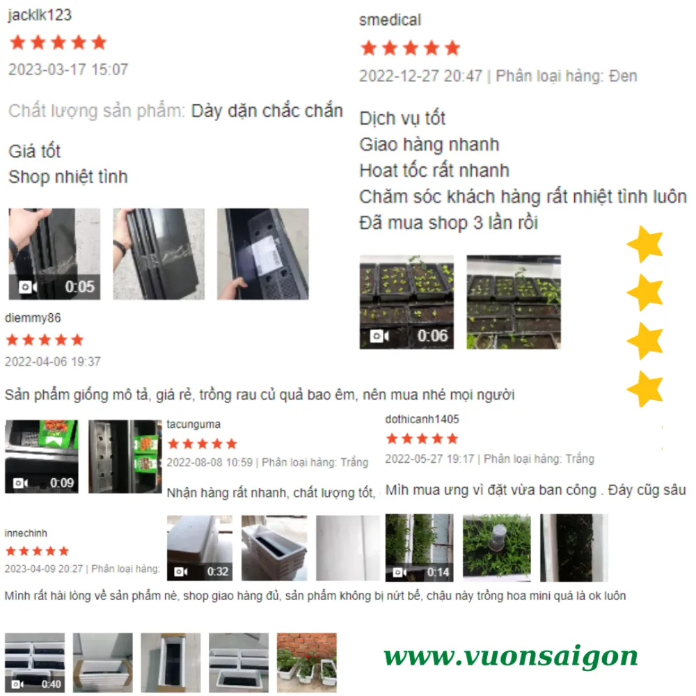 Chau Nhua Trong Rau Sach Hai Dang (2)