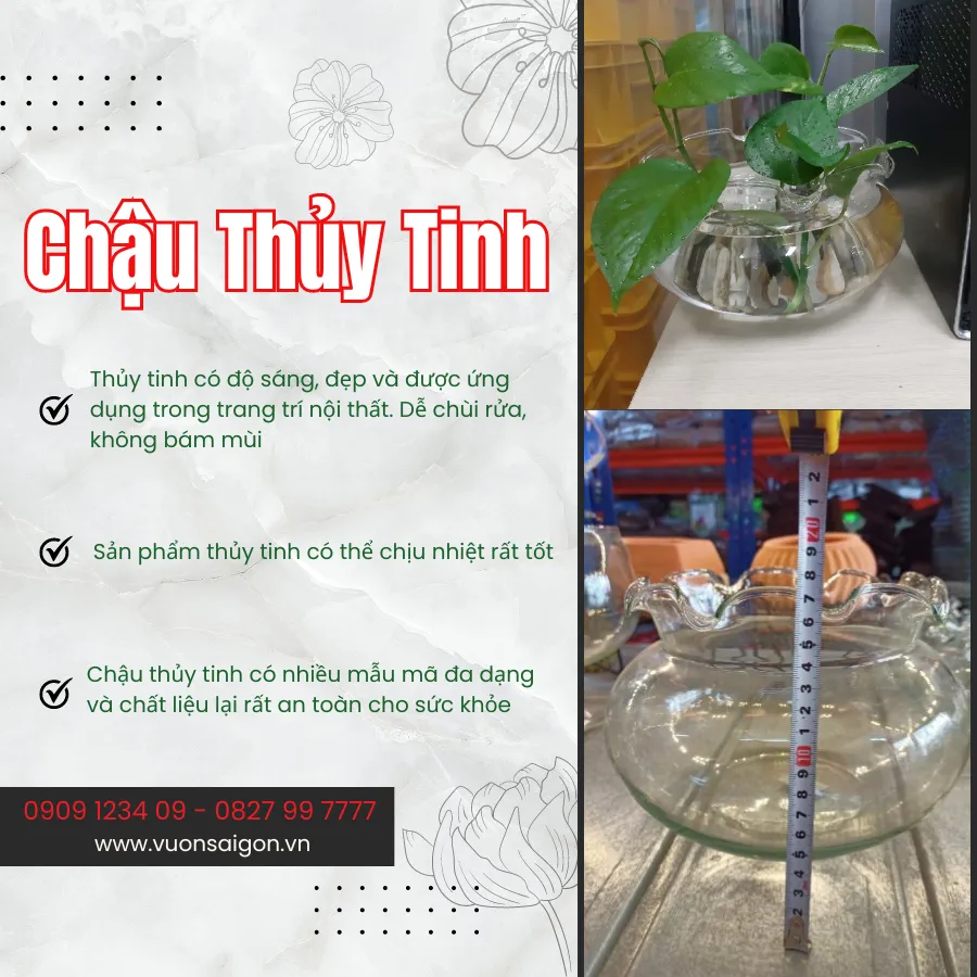 Chau Thuy Tinh (2)