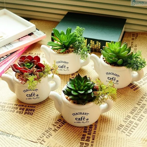 chậu tiểu cảnh mini