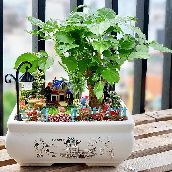chậu tiểu cảnh mini