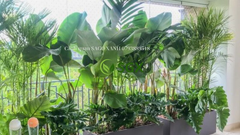 Trồng cây ban công đẹp giúp không gian sống thêm xanh mát và thư thái