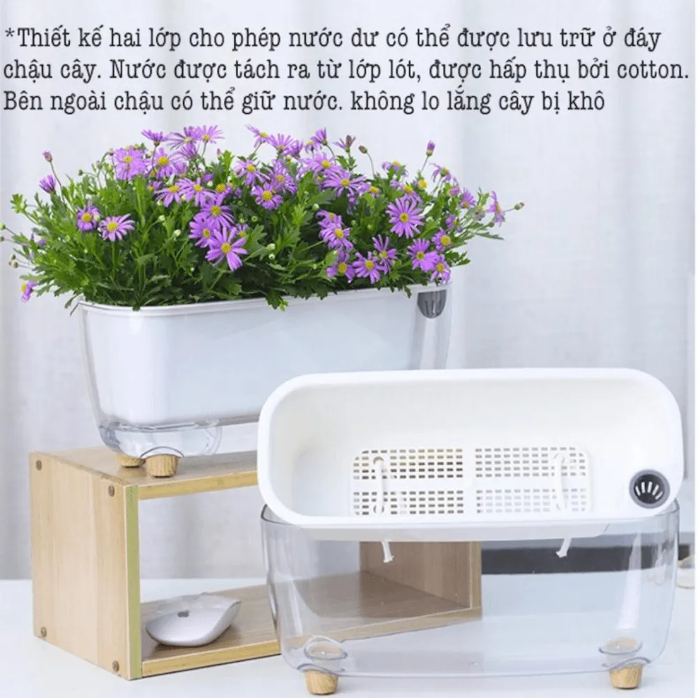 Hướng dẫn thực tế thao tác luồn dây bấc và trồng cây