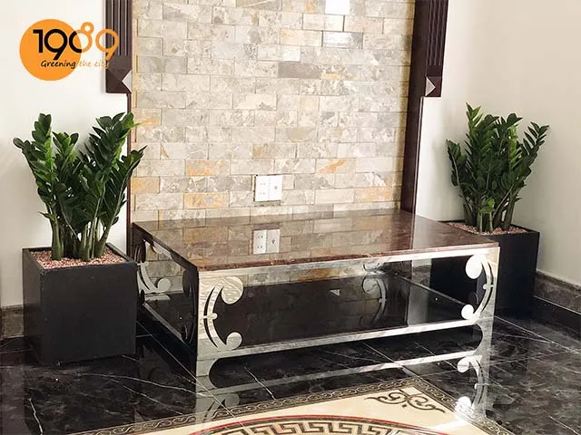 chậu xi măng đá mài vuông màu đen 1989