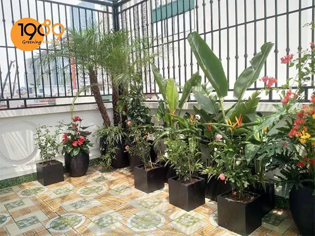 chậu xi măng đá mài vuông