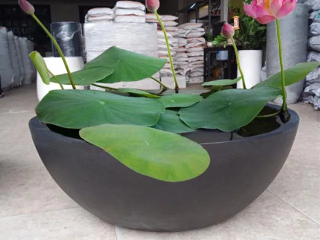 Chậu đá mài kích thước lớn thích hợp cho sân vườn rộng