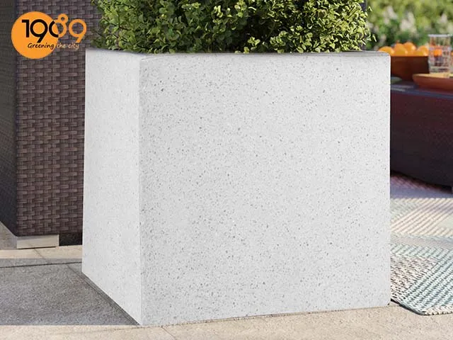 Chậu xi măng vuông kích thước 1m dành riêng cho những gốc hồng khủng