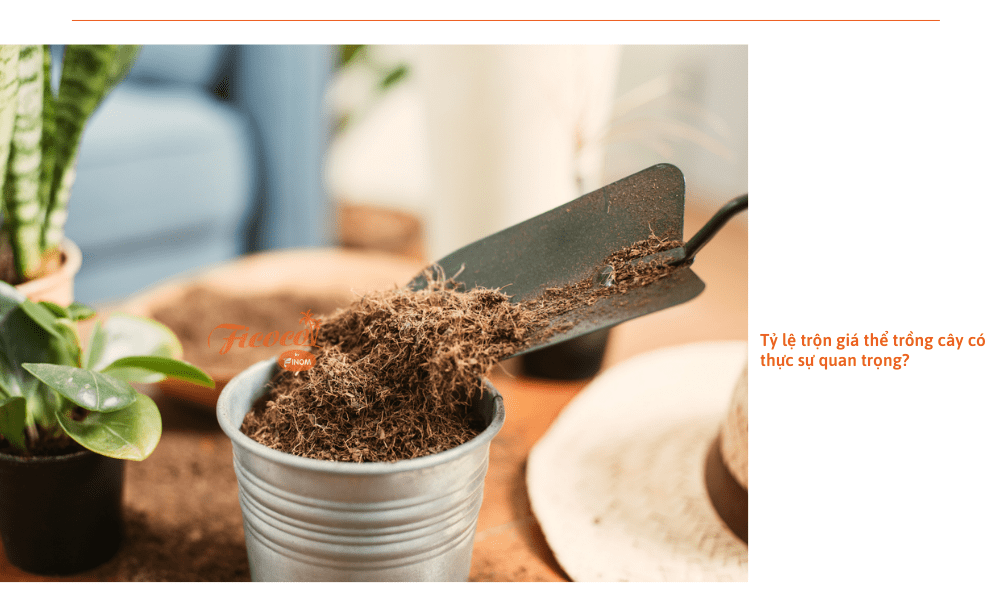 ty-le-tron-gia-the-trong-cay