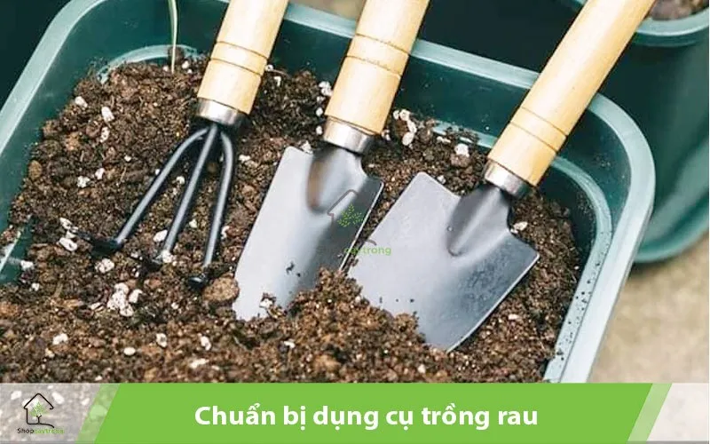 Cần chuẩn bị dụng cụ trước khi trồng rau