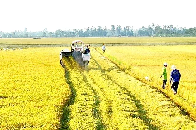 Chuyển đất trồng lúa sang đất thổ cư 2026: Hồ sơ và thủ tục thế nào?