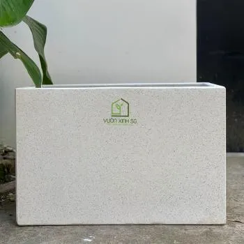 Chậu cây hình chữ nhật màu trắng tinh khôi, kích thước 60x30x40 tôn vinh vẻ đẹp cây cảnh