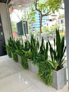 Chậu cây hình chữ nhật mẫu 78x20x30 thiết kế mỏng nhẹ cho ban công hẹp