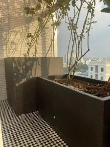 Các mẫu chậu cây hình chữ nhật kích thước lớn đang được hoàn thiện tại xưởng