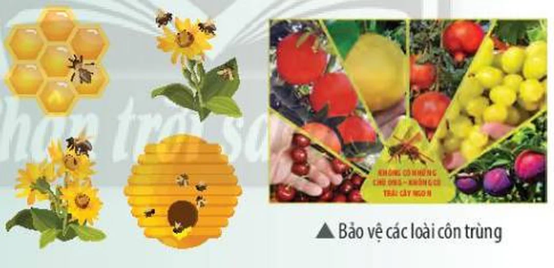 côn trùng có lợi và có hại minh họa