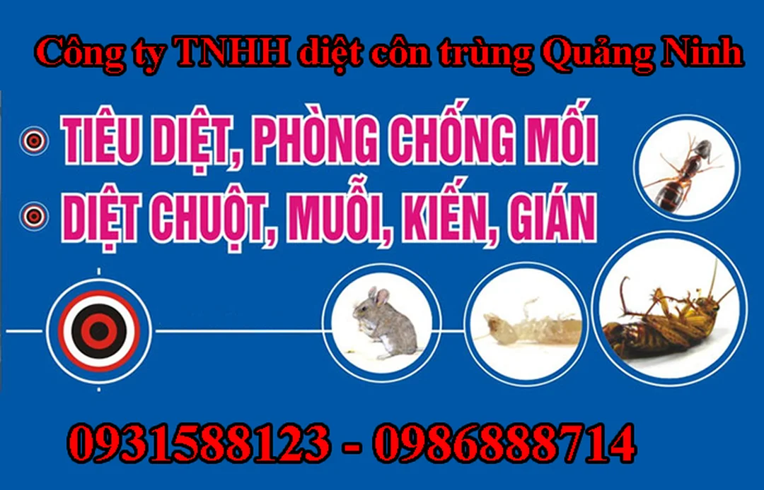 Công ty TNHH Diệt Côn Trùng Quảng Ninh dịch vụ tổng hợp tại Quảng Ninh