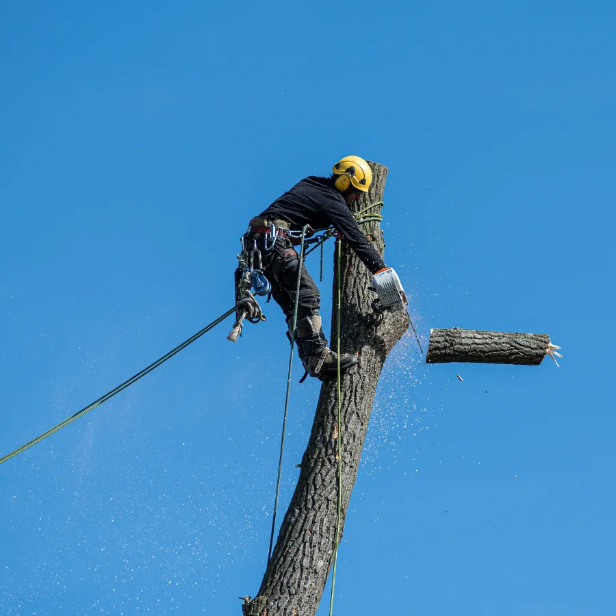 Đội ngũ nhân sự chuyên nghiệp của Đình Tấn