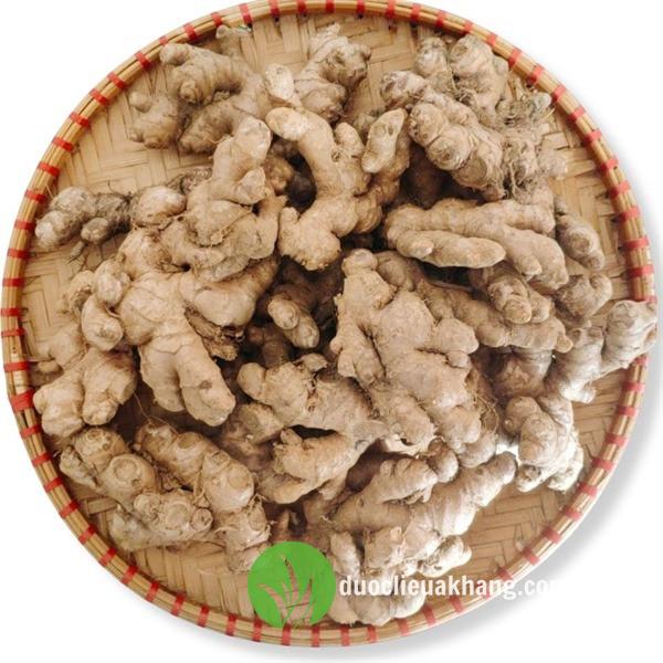 Cây Dễ Trồng Trong Nhà: Hướng Dẫn Chi Tiết Từ A-Z