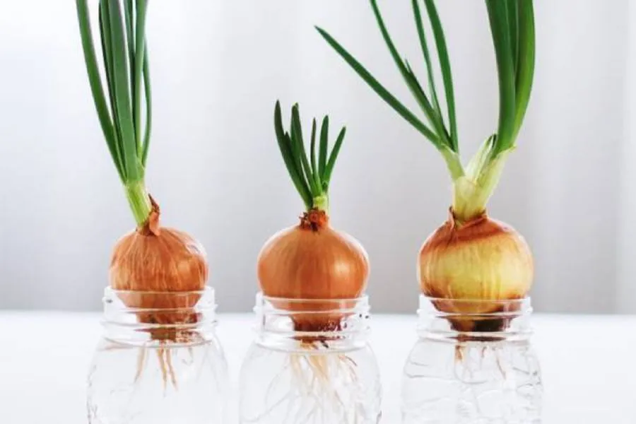 Chuẩn bị nguyên liệu