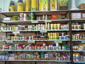 Cửa Hàng Phân Bón: Điểm Tựa Vững Chắc Cho Nông Nghiệp Việt