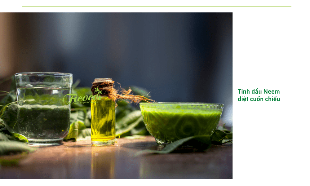 diet-cuon-chieu-bang-tinh-dau-neem
