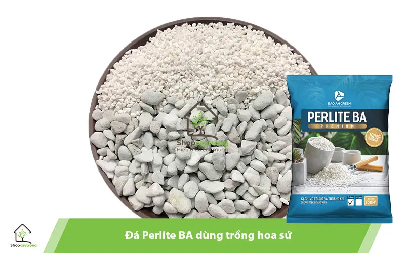 Perlite BA hỗ trợ thoát nước tốt