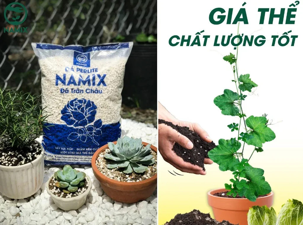 Đá Perlite là loại giá thể được ưa chuộng nhờ cấu trúc thể hang giúp thoáng khí tối ưu