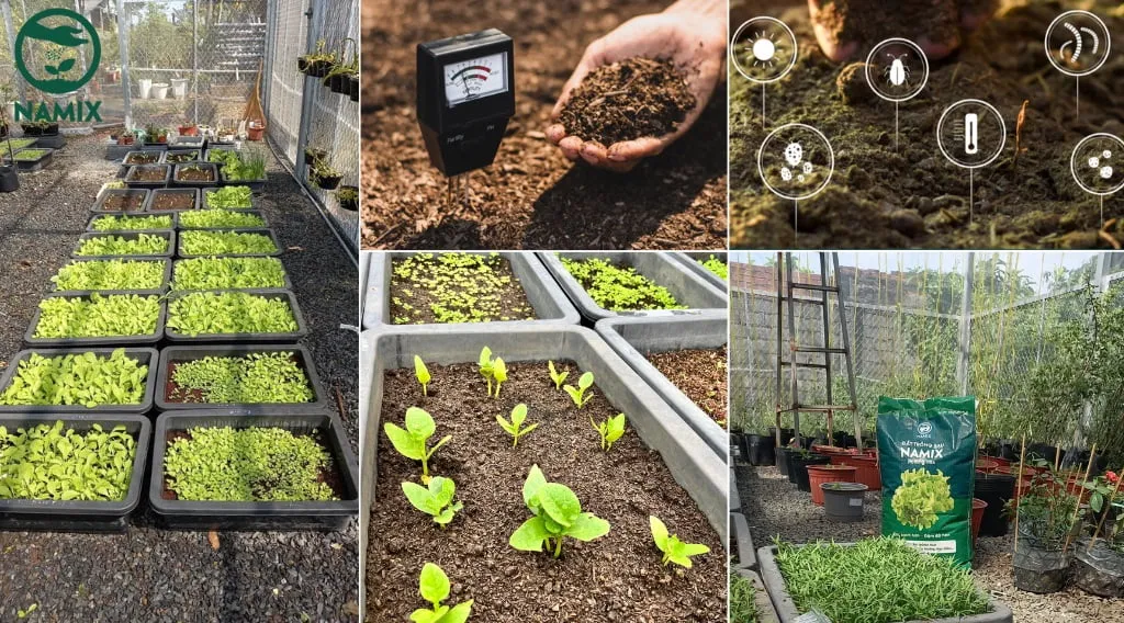 đất trồng cây được phối trộn sẵn