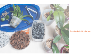 Đại lý giá thể trồng hoa miền Nam uy tín, chất lượng tốt 