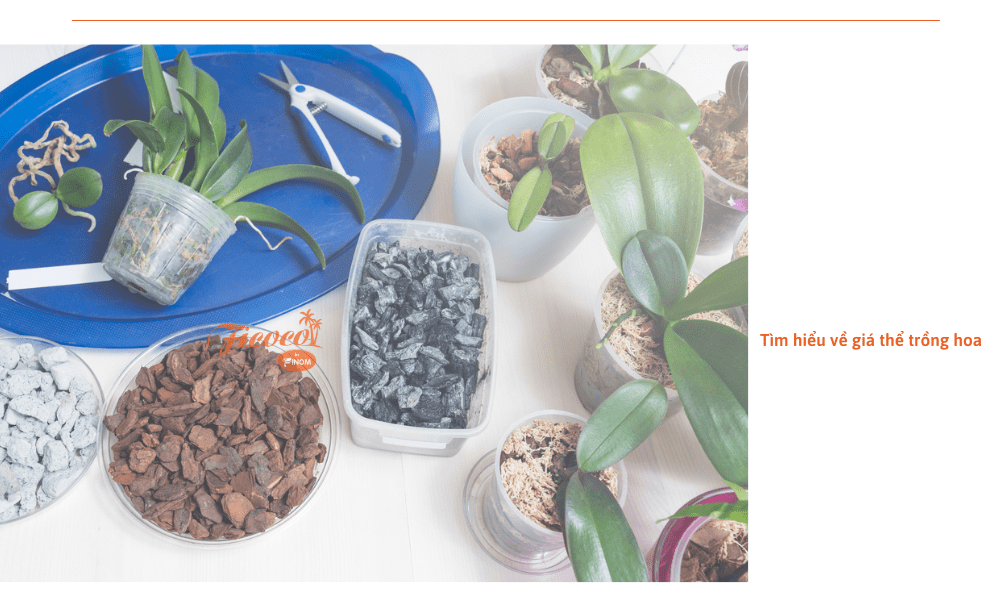 dai-ly-gia-the-trong-hoa-mien-nam