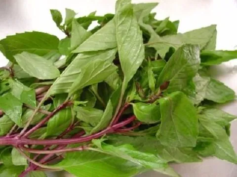 Danh sách các loại rau củ bạn nên trồng vào tháng 2