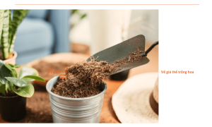 Danh sách đại lý phân phối giá thể trồng hoa Ficoco tại khu vực Hồ Chí Minh