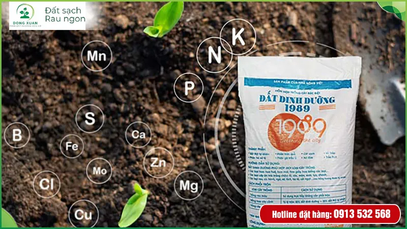 Mẫu đất dinh dưỡng chất lượng cao được sản xuất tại nhà máy