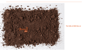 Đất hữu cơ là gì? Các loại đất hữu cơ thông dụng trong nông nghiệp