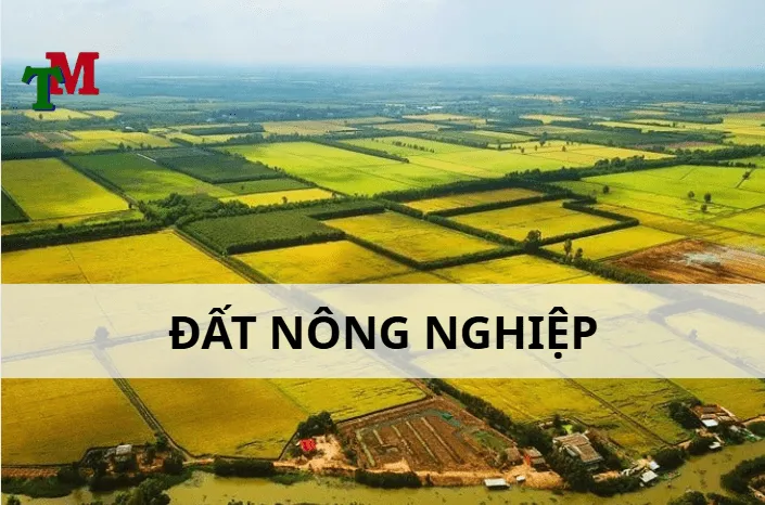 đất nông nghiệp