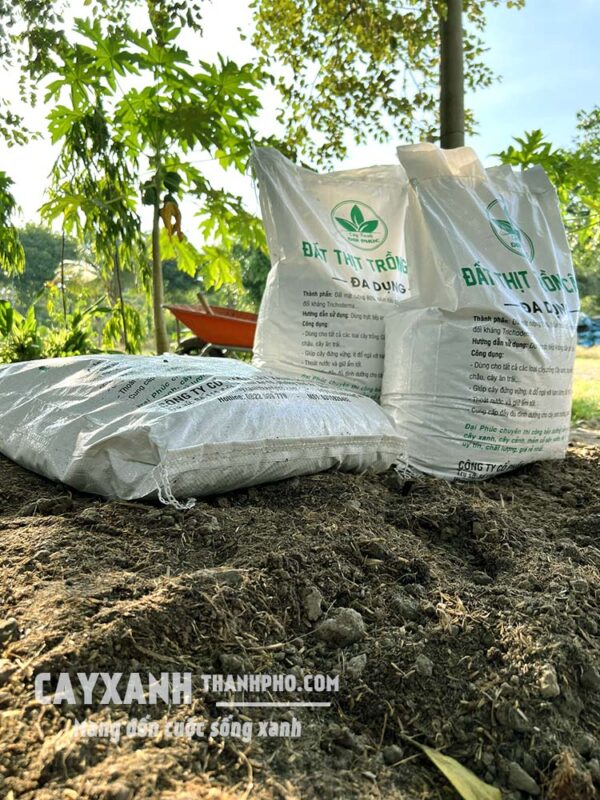 Mua Đất Thịt Trồng Cây TPHCM: Hướng Dẫn Chi Tiết Từ Chuyên Gia