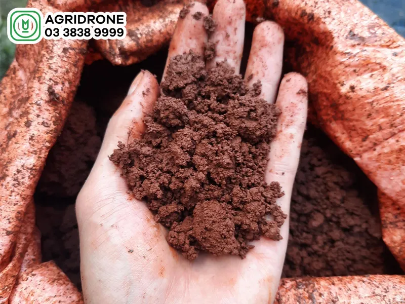 Đất thịt trồng cây