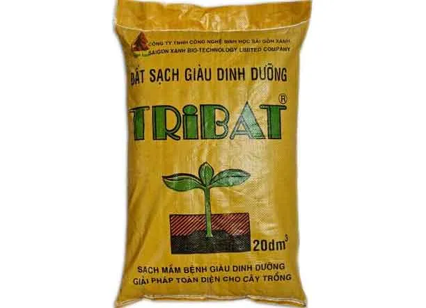 cách trồng rau kinh giới tại nhà đơn giản